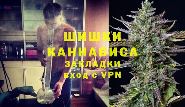 шишки Алексеевка