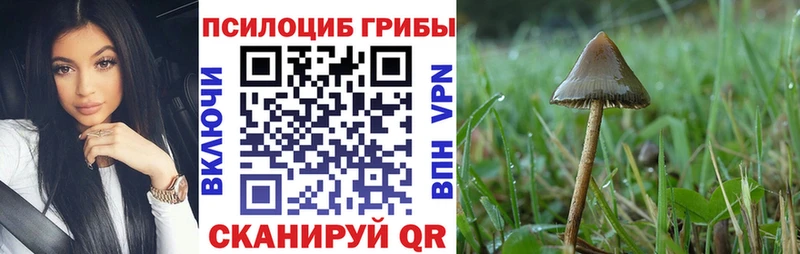 купить наркотик  Лебедянь  Псилоцибиновые грибы MAGIC MUSHROOMS 